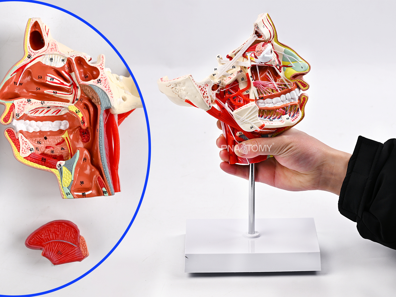 Strictly controlled product quality