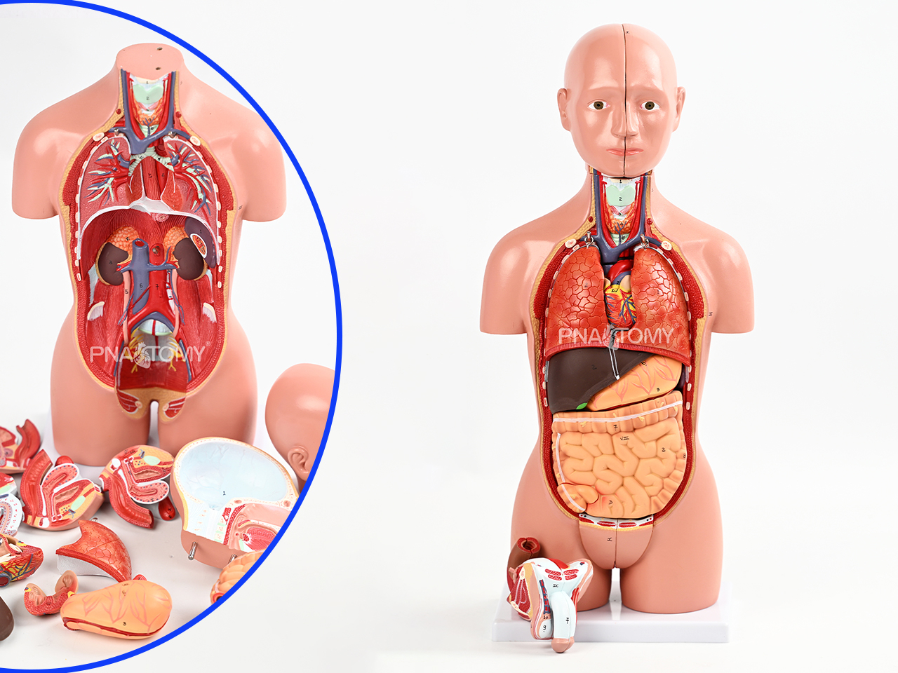 Deep tilling for years.