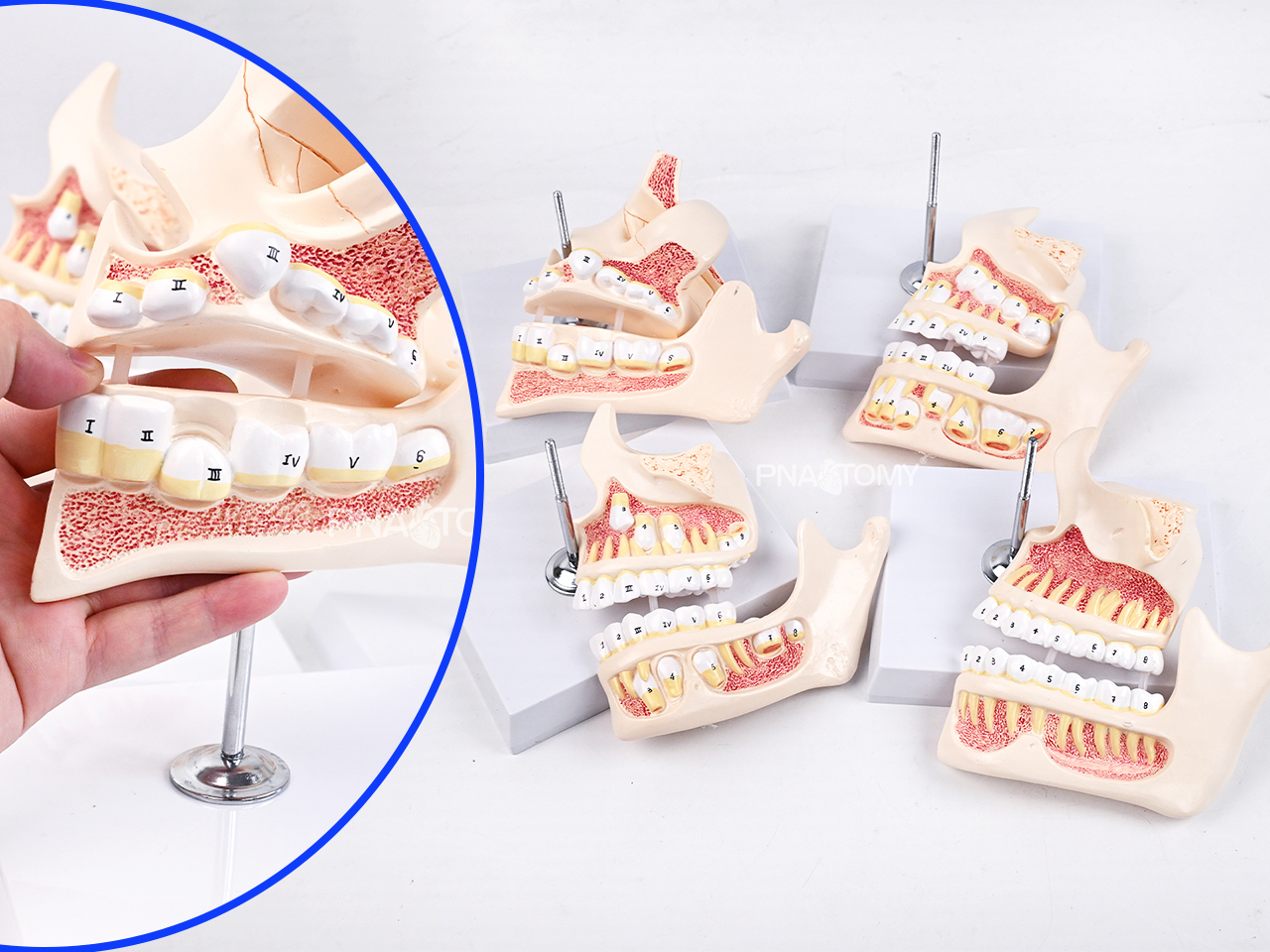 Customization of fit services